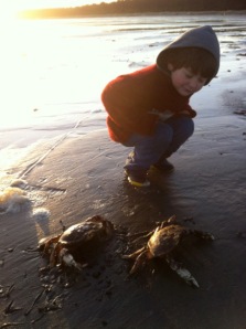 FisherCrabs